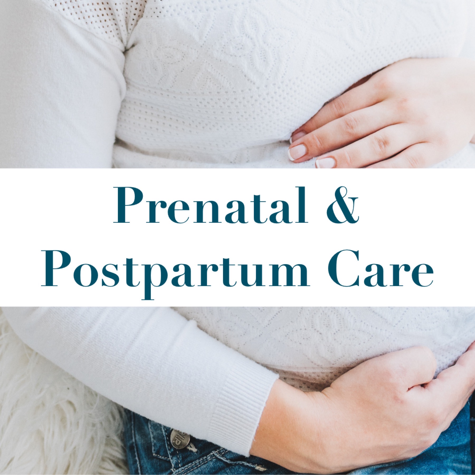 Prenatal and Postpartum Care icon